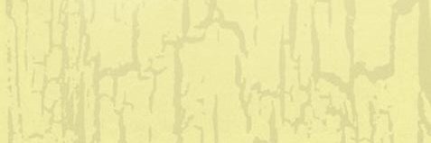 RealMitchPeters banner