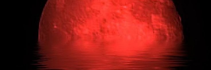Dij banner