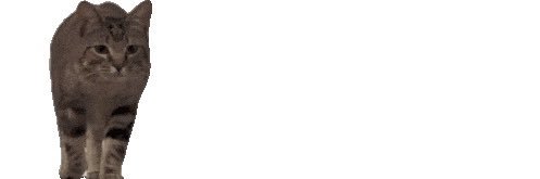 MrNiceGuy ^_^ banner