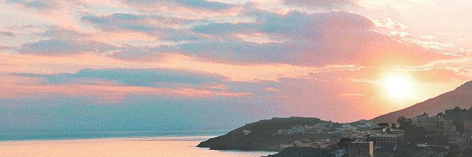 📕's banner
