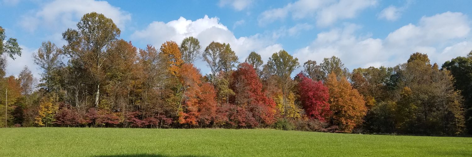 ♥جنى ❤🇸🇦 banner