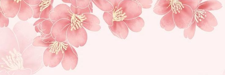 nene banner