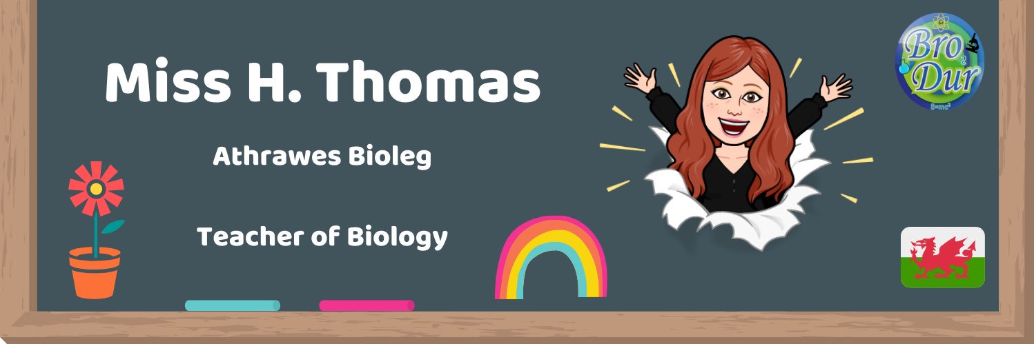 hslthomas86's profile banner image
