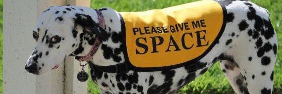 táfinizemili banner