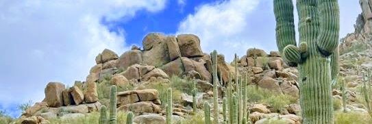 Jen Sanchez-Flack, PhD, MPH banner