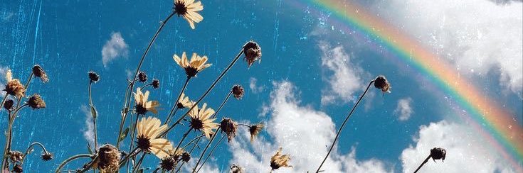DuudaSanches_'s profile banner image