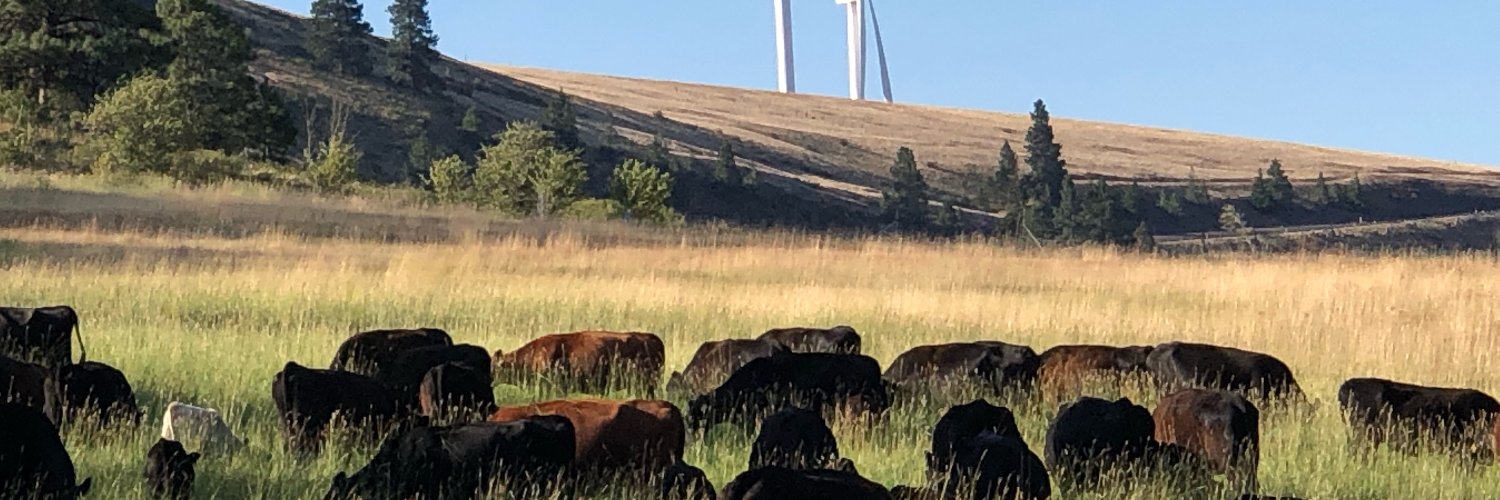 Washington State Beef Commission banner