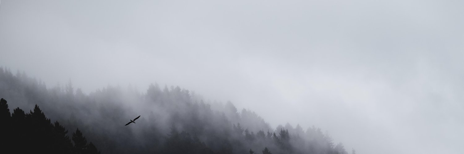 heitorpecentes's profile banner image