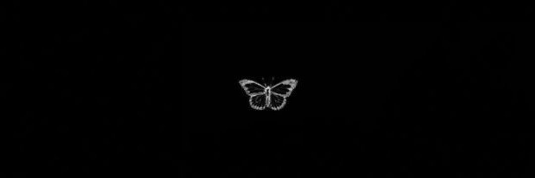 𝒔𝒆𝒓𝒆𝒏𝒂. banner