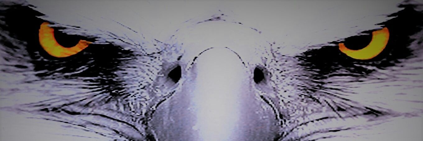Elimaps15's profile banner image