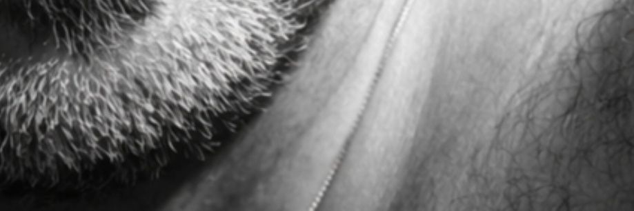 الـــفــاســـــقـــــ...؟ banner