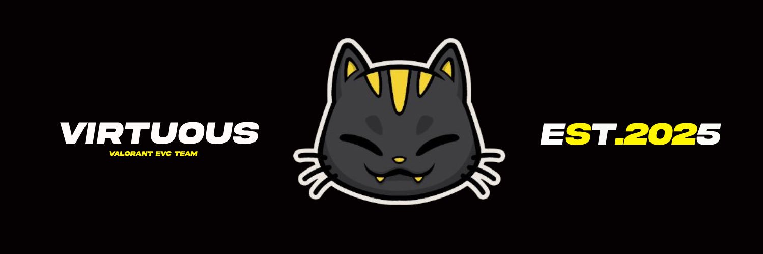 VirtuouS banner