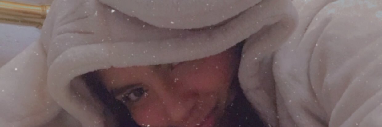 sofysanzen's profile banner image