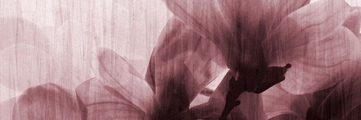 JnnahMoheb's profile banner image