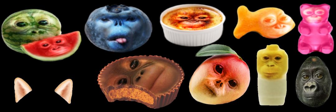 primateluvr's banner