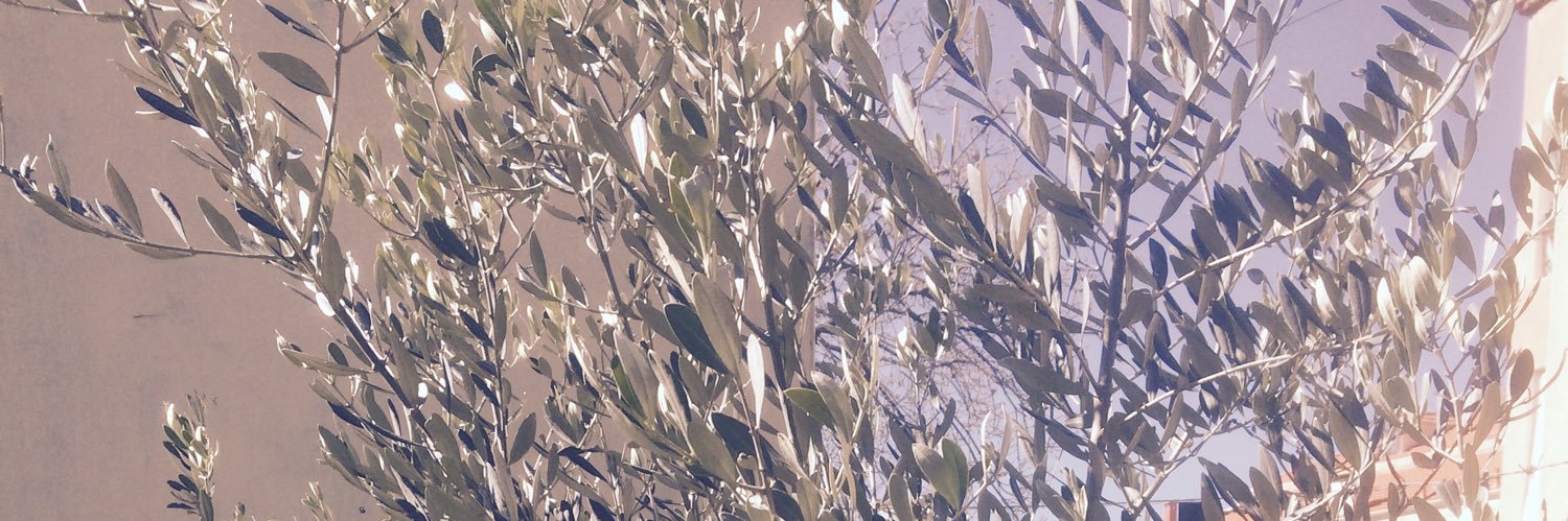 fadi8o80's profile banner image