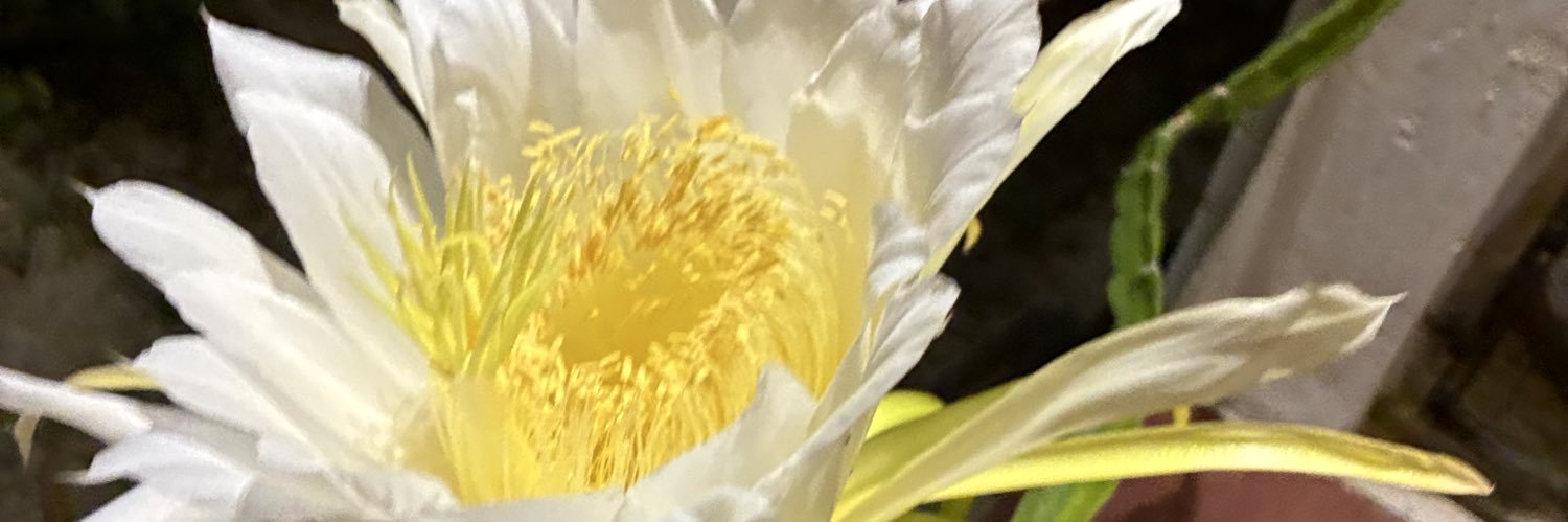 Seth Ray Russell banner