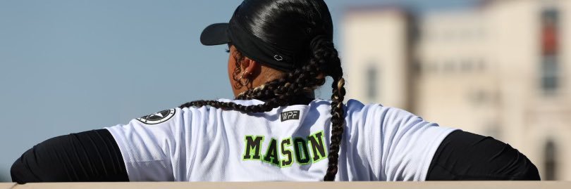 Elizabeth Mason banner