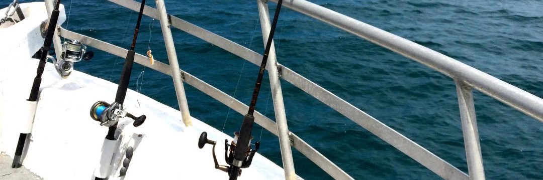 アングラー@プレゼント垢 banner