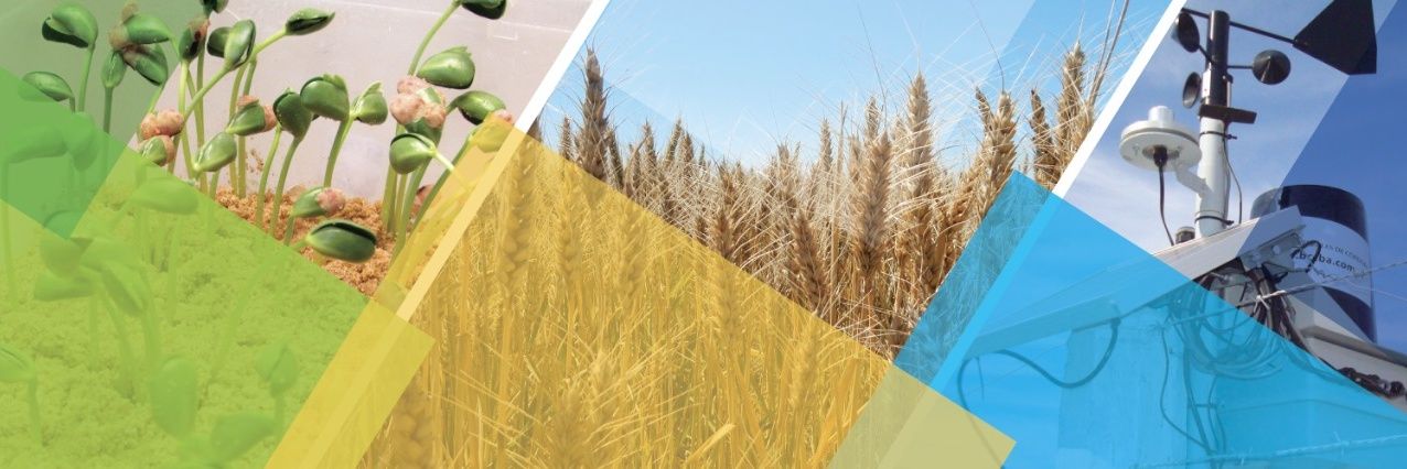 Bolsa de Cereales de Córdoba banner