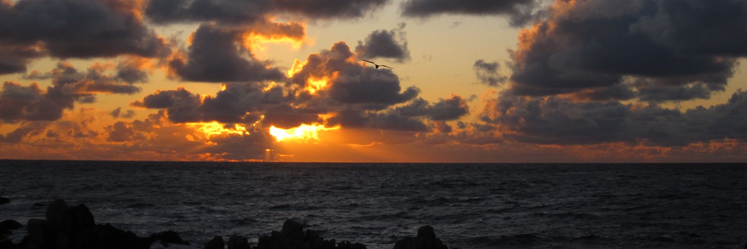 Clark Coleman banner