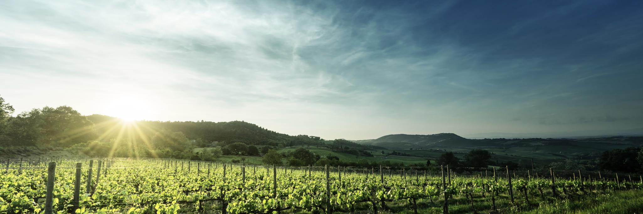 DeeVineEstate's profile banner image