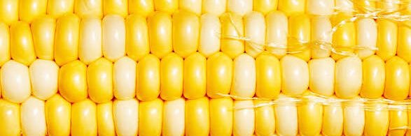 Iowa Speedway banner