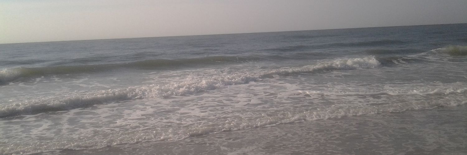 LesaG5061's profile banner image