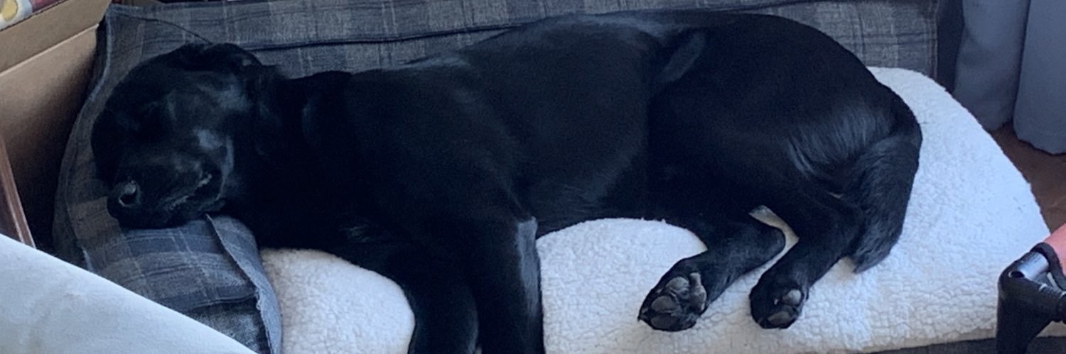 JCorkyy13's profile banner image