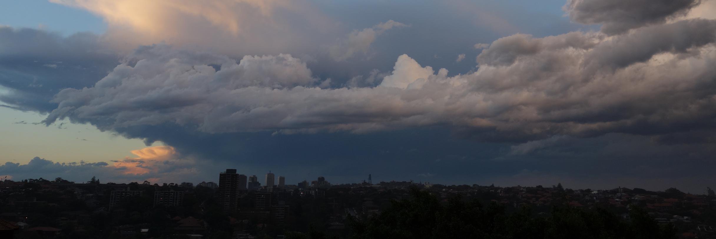 Tracey Clancy banner