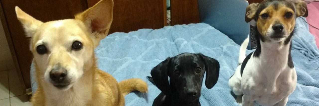 erioliengo's profile banner image