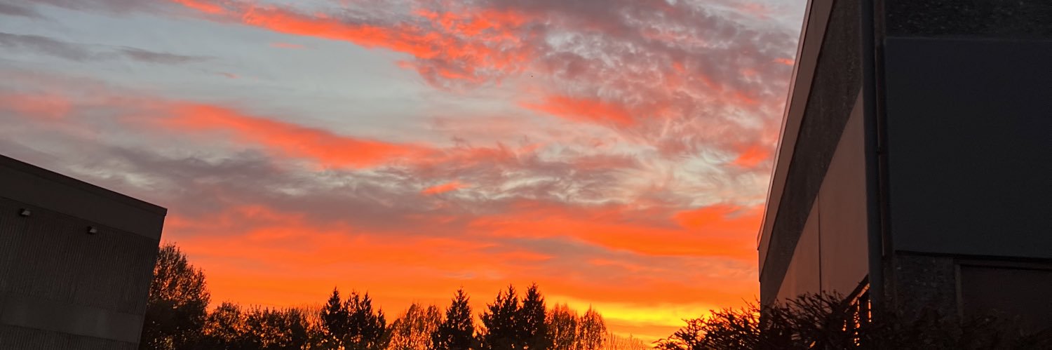 reileyclark's profile banner image