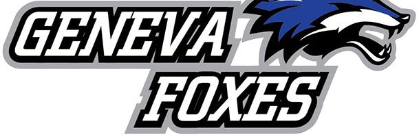 GenevaFoxes's profile banner image