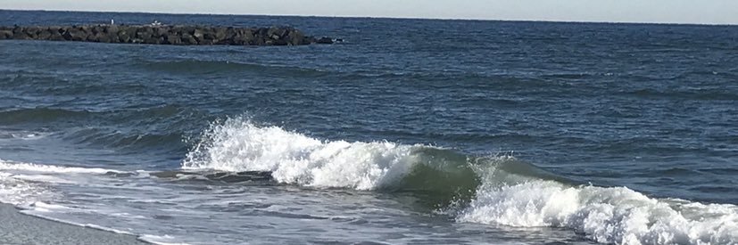 Christine Clemetson banner
