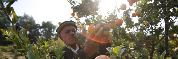 LarrySampler Profile Banner