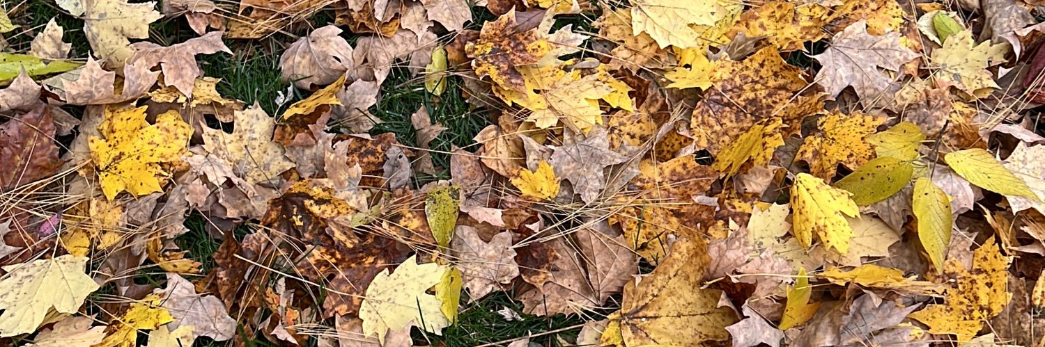 Aaron Scholer banner