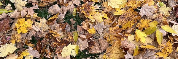 aaron_scholer Profile Banner