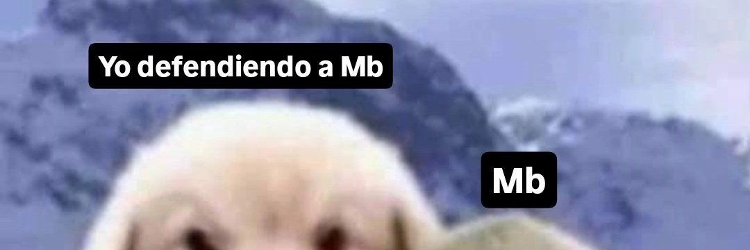 Miguelovers banner