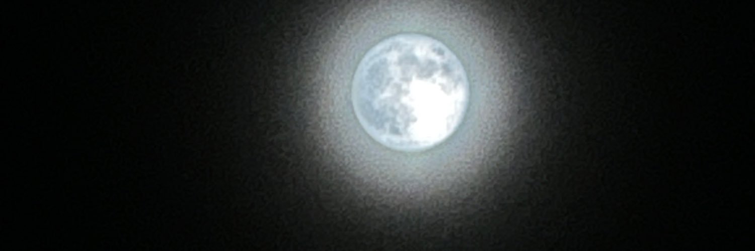 うんちくりーむそーだ banner
