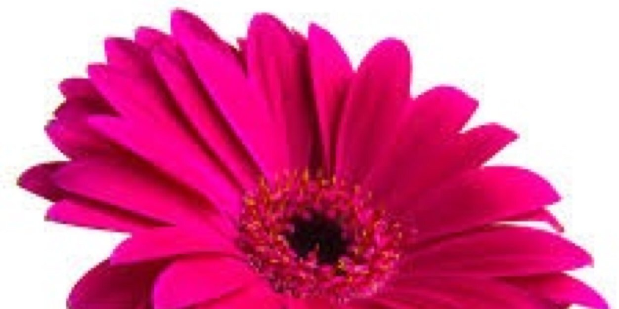 bailesmile's profile banner image