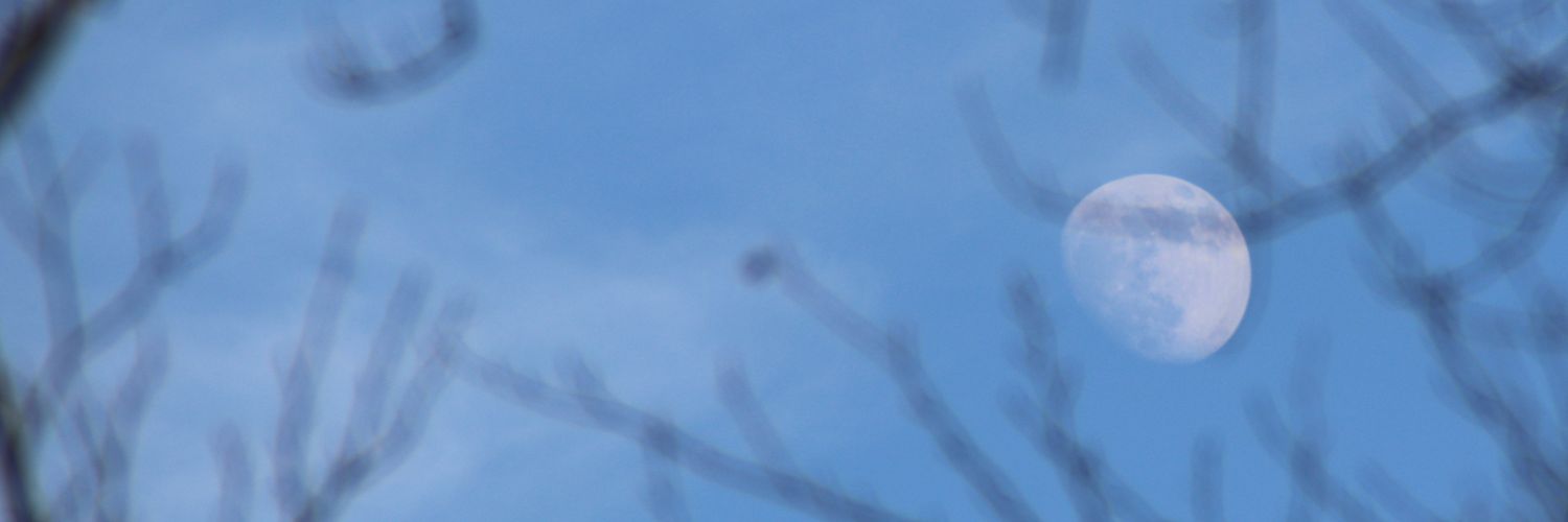 TeaDotEh's profile banner image