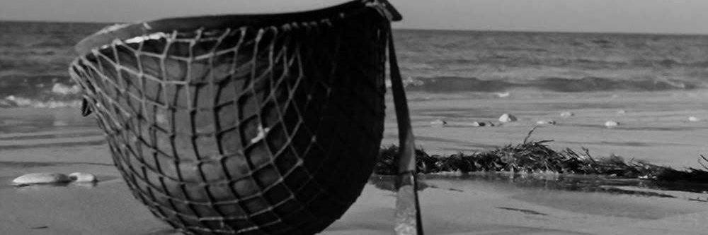 Xavier banner