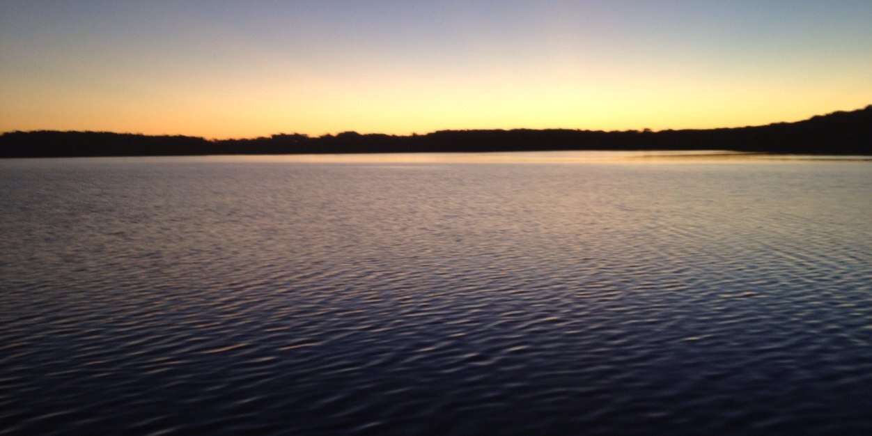 GuyMitrano's profile banner image