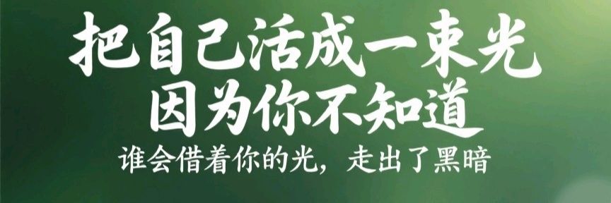 一叶知秋意🍁🍁 banner