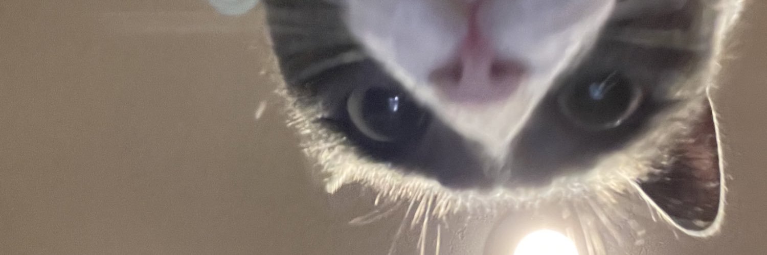 _VLISSV's profile banner image