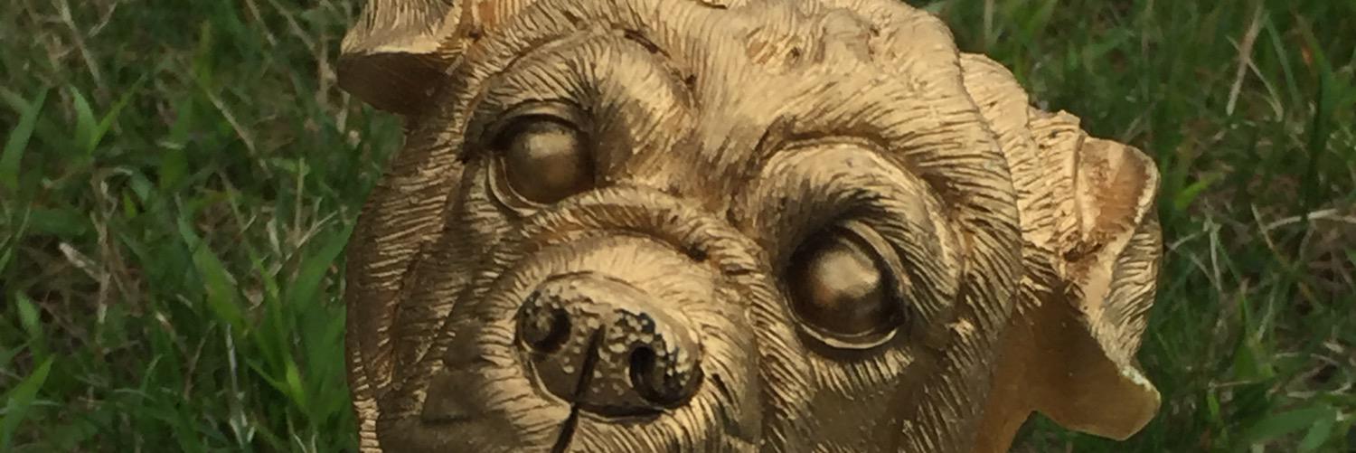 FerrisStateRHA's profile banner image