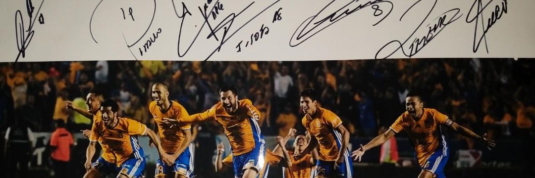 trippercastelo's profile banner image