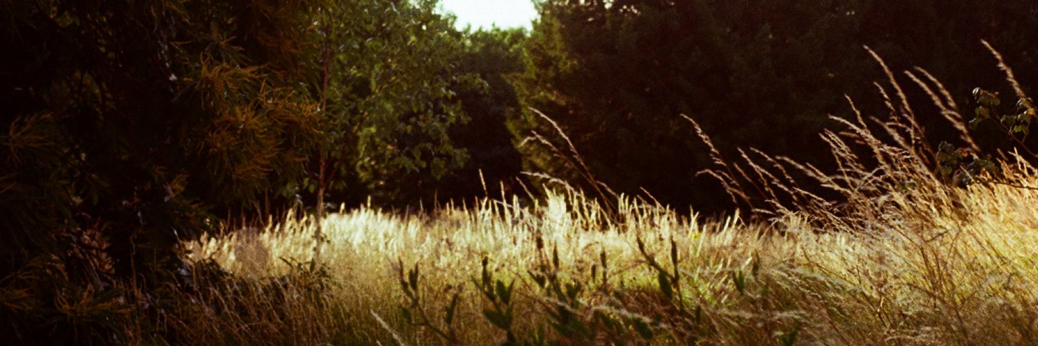 abbydcruz__'s profile banner image