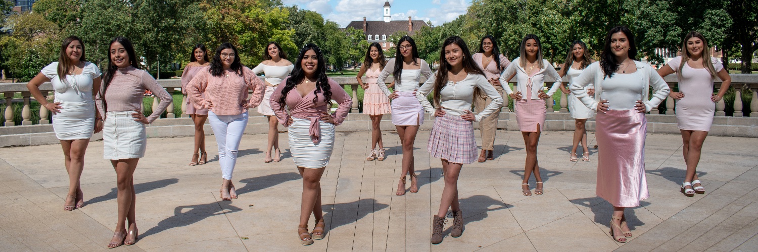 uiuc_alphas's profile banner image