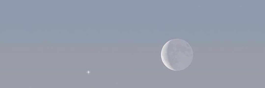 MNoelia260's profile banner image